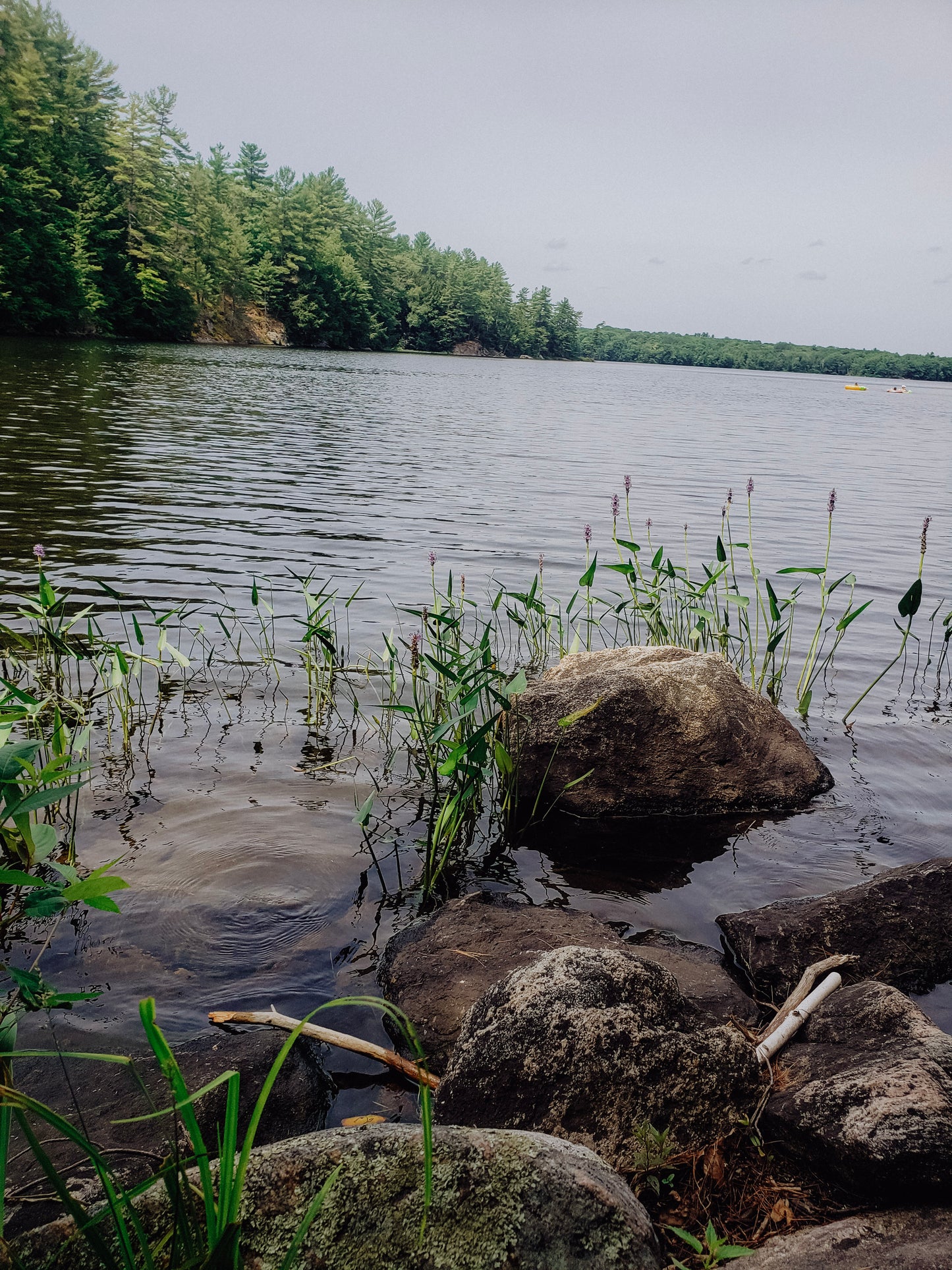 Still Water - Landscape Art Print